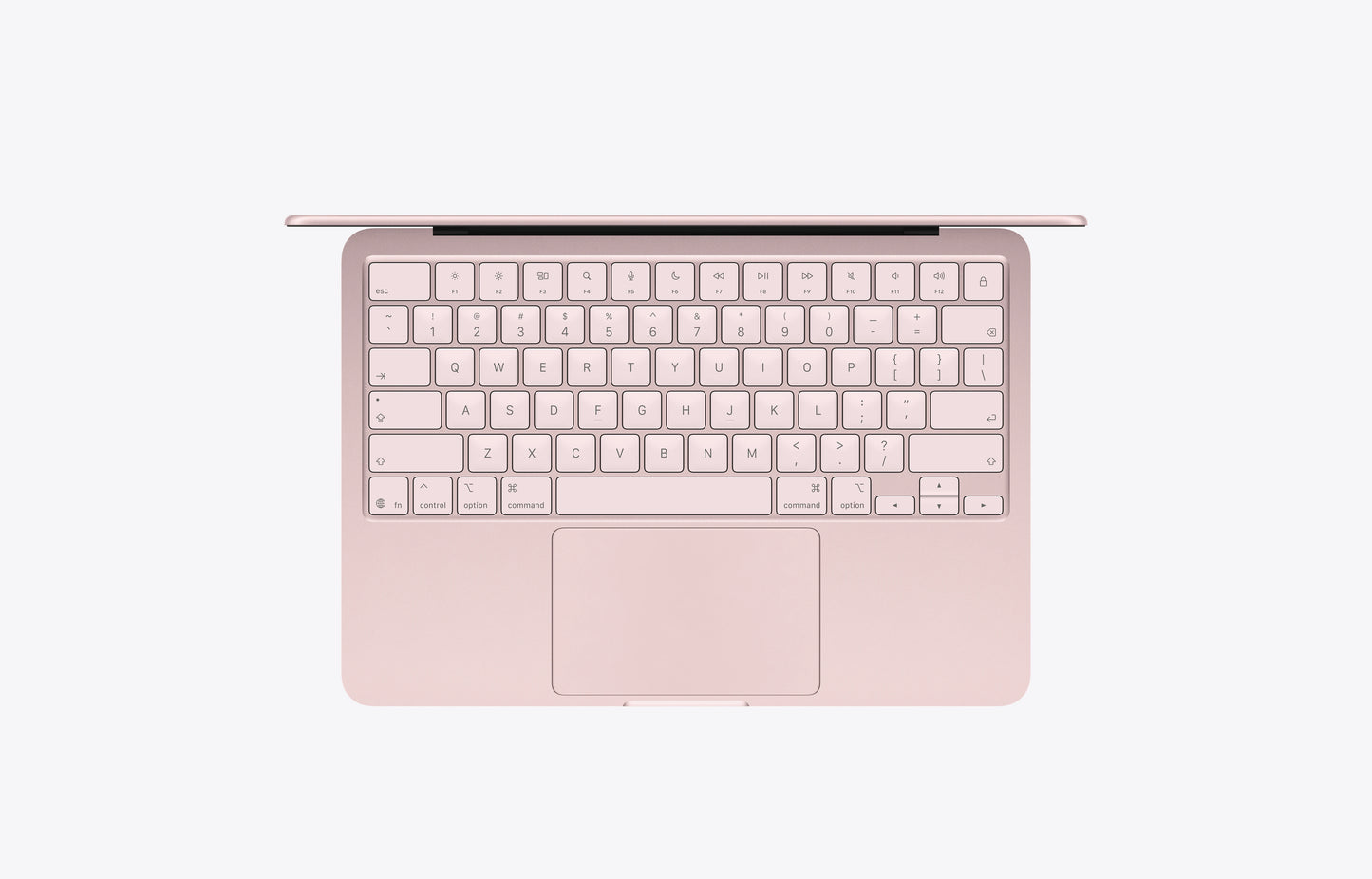 Endicott Apple Neo