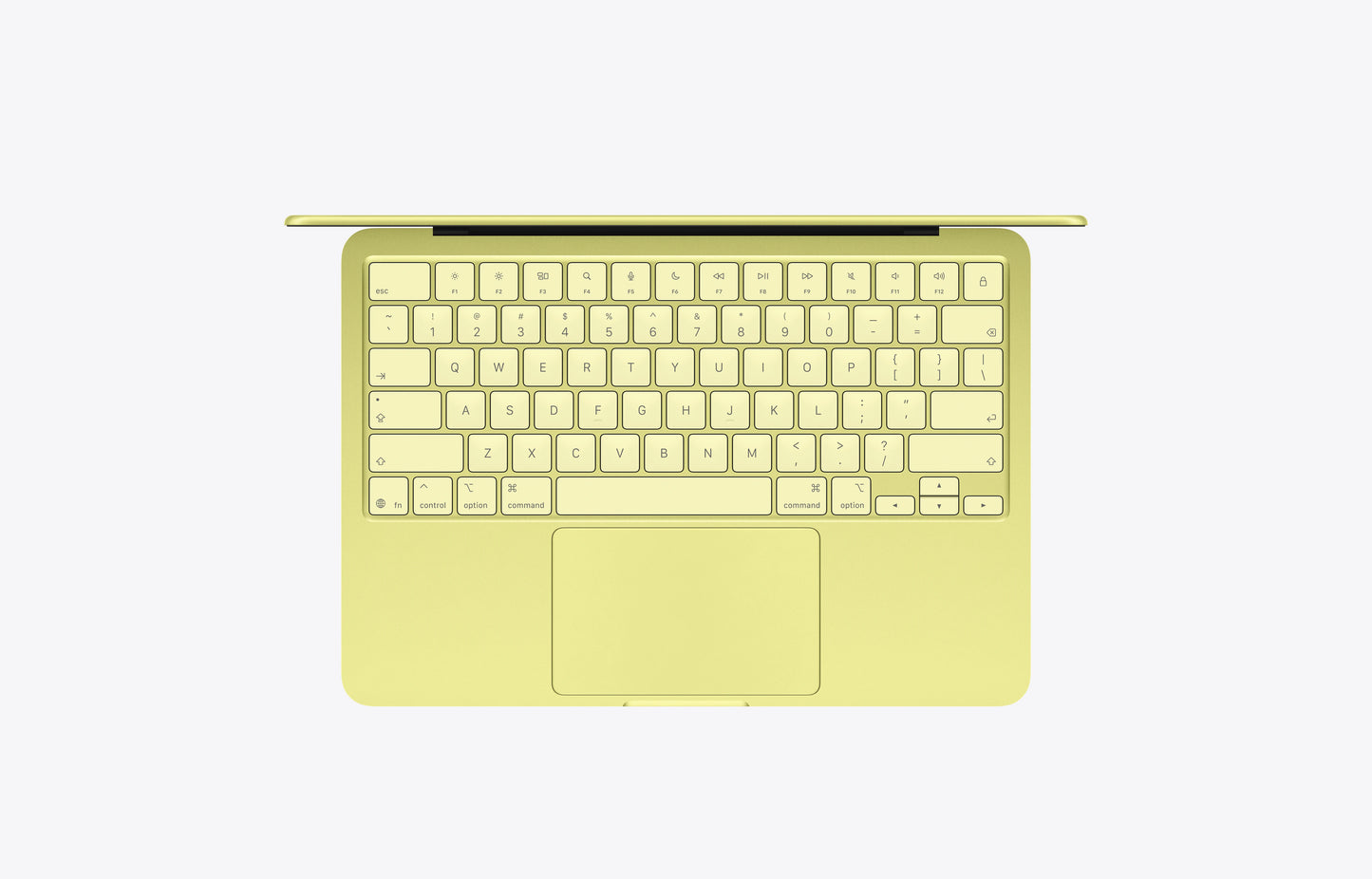 Endicott Apple Neo