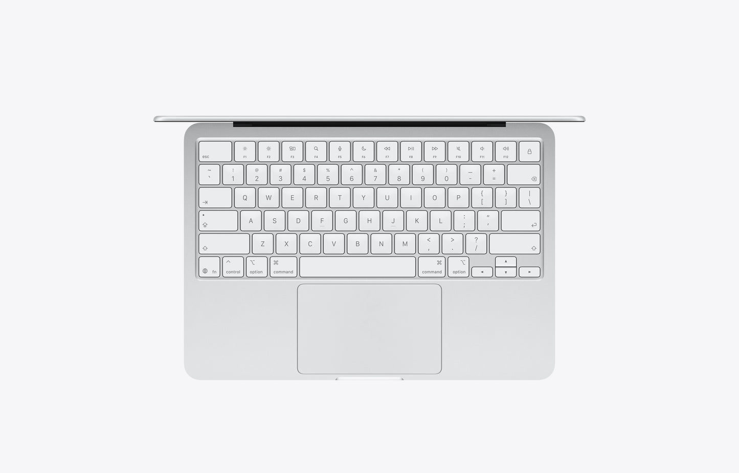 Endicott Apple Neo